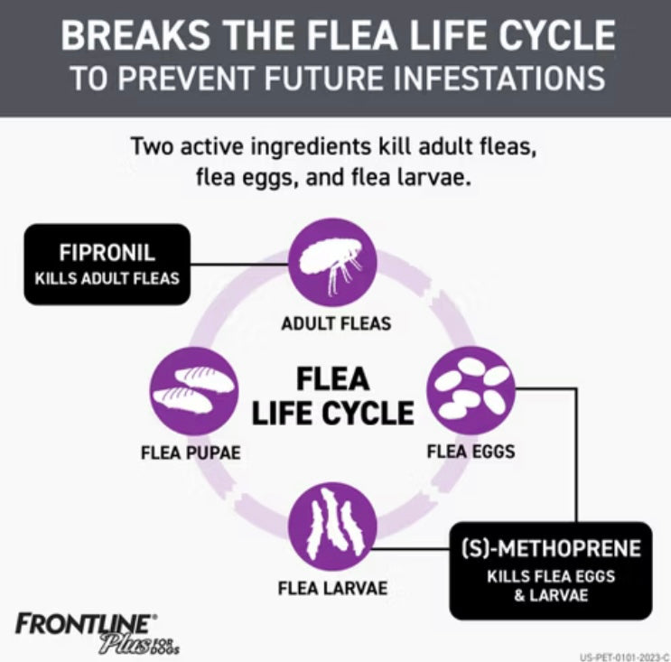 New Frontline Plus Flea and Tick Treatment for Dogs - 3 doses